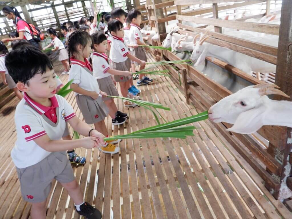 high 10 premier best kindergarten preschool butterworth penang malaysia raja uda (5)